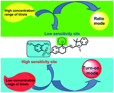 Graphical abstract: Single near-infrared fluorescent probe with high- and low-sensitivity sites for sensing different concentration ranges of biological thiols with distinct modes of fluorescence signals