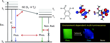 Graphical abstract: Multi-luminescent switching of metal-free organic phosphors for luminometric detection of organic solvents