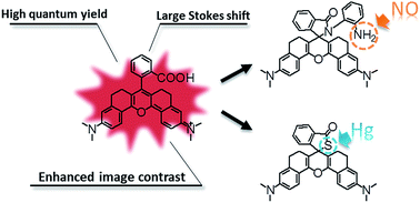 Graphical abstract: A unique approach toward near-infrared fluorescent probes for bioimaging with remarkably enhanced contrast