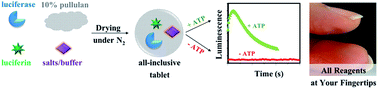 Graphical abstract: Simple and ultrastable all-inclusive pullulan tablets for challenging bioassays