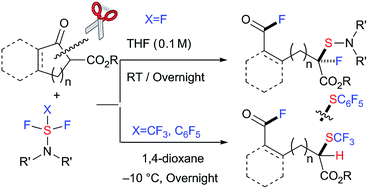 Graphical abstract: Successive C–C bond cleavage, fluorination, trifluoromethylthio- and pentafluorophenylthiolation under metal-free conditions to provide compounds with dual fluoro-functionalization