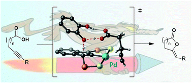 Graphical abstract: A case study of proton shuttling in palladium catalysis
