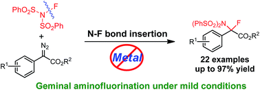 Graphical abstract: Aminofluorination: transition-metal-free N–F bond insertion into diazocarbonyl compounds