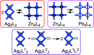 Graphical abstract: Supramolecular reactions of metallo-architectures: Ag2-double-helicate/Zn4-grid, Pb4-grid/Zn4-grid interconversions, and Ag2-double-helicate fusion