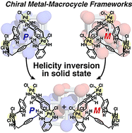 Graphical abstract: Chiral metal–macrocycle frameworks: supramolecular chirality induction and helicity inversion of the helical macrocyclic structures