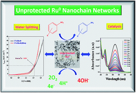 Graphical abstract: Unprotected and interconnected Ru0 nano-chain networks: advantages of unprotected surfaces in catalysis and electrocatalysis