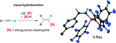 Graphical abstract: Highly selective catalytic trans-hydroboration of alkynes mediated by borenium cations and B(C6F5)3