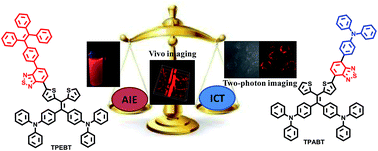 Graphical abstract: Rational design of asymmetric red fluorescent probes for live cell imaging with high AIE effects and large two-photon absorption cross sections using tunable terminal groups