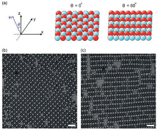 Graphical abstract: Phase transformations in binary colloidal monolayers