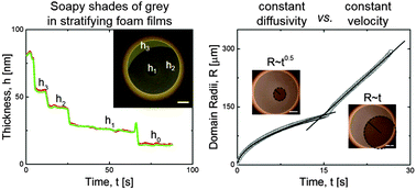 Graphical abstract: Domain expansion dynamics in stratifying foam films: experiments