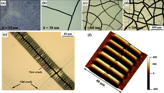 Graphical abstract: Wrinkled stripes localized by cracks in metal films deposited on soft substrates