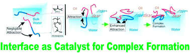 Graphical abstract: Interface-enforced complexation between copolymer blocks