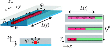 Graphical abstract: Drying with no concentration gradient in large microfluidic droplets