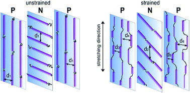 Graphical abstract: Structural changes of block copolymers with bi-modal orientation under fast cyclical stretching as observed by synchrotron SAXS