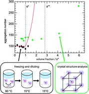 Graphical abstract: Studying the concentration dependence of the aggregation number of a micellar model system by SANS