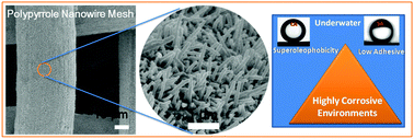 Graphical abstract: Stable underwater superoleophobic and low adhesive polypyrrole nanowire mesh in highly corrosive environments
