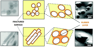 Graphical abstract: The filler–rubber interface in styrene butadiene nanocomposites with anisotropic silica particles: morphology and dynamic properties