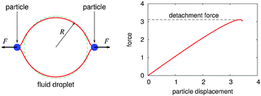 Graphical abstract: Detachment force of particles from fluid droplets