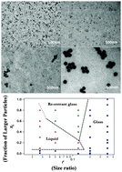 Graphical abstract: Dynamics and yielding of binary self-suspended nanoparticle fluids