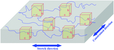 Graphical abstract: Inducing uniform single-crystal like orientation in natural rubber with constrained uniaxial stretch