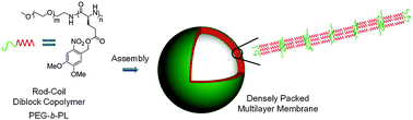 Graphical abstract: Polypeptide vesicles with densely packed multilayer membranes