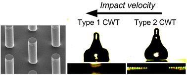 Graphical abstract: Two types of Cassie-to-Wenzel wetting transitions on superhydrophobic surfaces during drop impact