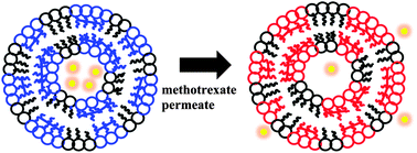 Graphical abstract: Chromatic response of polydiacetylene vesicle induced by the permeation of methotrexate