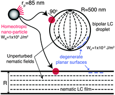 Graphical abstract: Homeotropic nano-particle assembly on degenerate planar nematic interfaces: films and droplets
