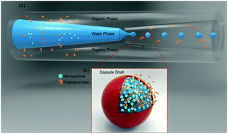 Graphical abstract: Soft microcapsules with highly plastic shells formed by interfacial polyelectrolyte–nanoparticle complexation