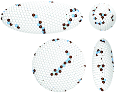 Graphical abstract: The role of curvature anisotropy in the ordering of spheres on an ellipsoid