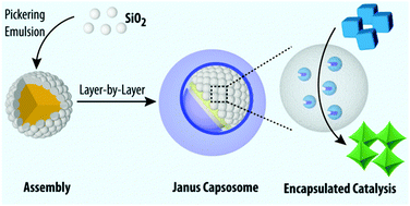 Graphical abstract: Janus subcompartmentalized microreactors