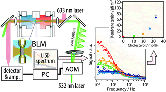 Graphical abstract: Measurement of membrane tension of free standing lipid bilayers via laser-induced surface deformation spectroscopy