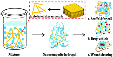 Graphical abstract: Recent advances in clay mineral-containing nanocomposite hydrogels
