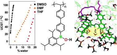 Graphical abstract: Thermo-responsive behavior of borinic acid polymers: experimental and molecular dynamics studies