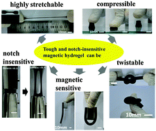 Graphical abstract: Exceptionally tough and notch-insensitive magnetic hydrogels