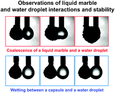 Graphical abstract: Liquid marble and water droplet interactions and stability