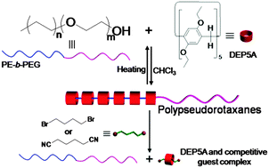 Graphical abstract: Dual-responsive polypseudorotaxanes based on block-selected inclusion between polyethylene-block-poly(ethylene glycol) diblock copolymers and 1,4-diethoxypillar[5]arene