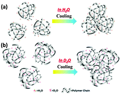 Graphical abstract: Understanding the UCST-type transition of P(AAm-co-AN) in H2O and D2O: dramatic effects of solvent isotopes