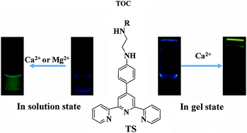 Graphical abstract: Selective and visual Ca2+ ion recognition in solution and in a self-assembly organogel of the terpyridine-based derivative triggered by ultrasound