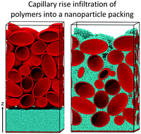 Graphical abstract: The dynamics of unentangled polymers during capillary rise infiltration into a nanoparticle packing