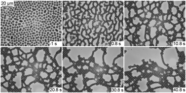 Graphical abstract: Critical nucleation mesh-size of coarsening transient colloidal networks