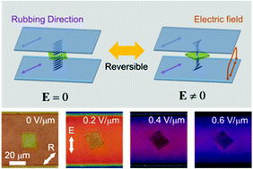 Graphical abstract: Reversible switching of liquid crystal micro-particles in a nematic liquid crystal
