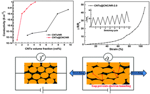 Graphical abstract: Tailoring percolating conductive networks of natural rubber composites for flexible strain sensors via a cellulose nanocrystal templated assembly