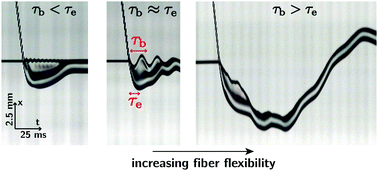 Graphical abstract: Drop impact and capture on a thin flexible fiber