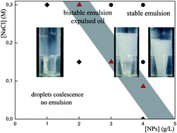 Graphical abstract: Aging mechanism in model Pickering emulsion
