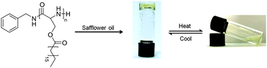 Graphical abstract: A vegetable oil-based organogel for use in pH-mediated drug delivery