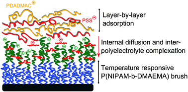 Graphical abstract: Temperature responsive behavior of polymer brush/polyelectrolyte multilayer composites