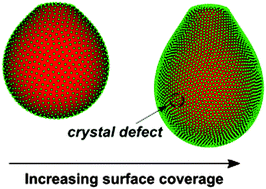 Graphical abstract: Direct calculation of anisotropic surface stresses during deformation of a particle-covered drop