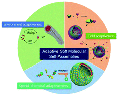 Graphical abstract: Adaptive soft molecular self-assemblies