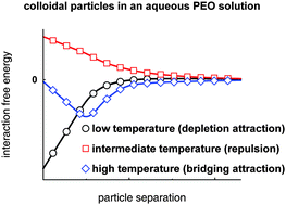 Graphical abstract: Non-monotonic temperature response of polymer mediated interactions